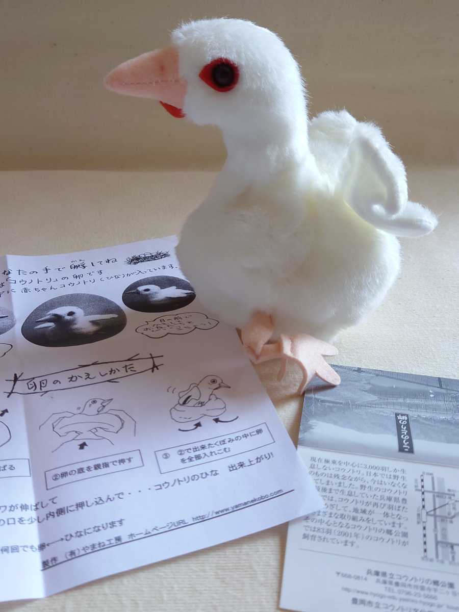 未使用 やまね工房 こうのとりの郷 コウノトリの卵 限定販売 ヒナ