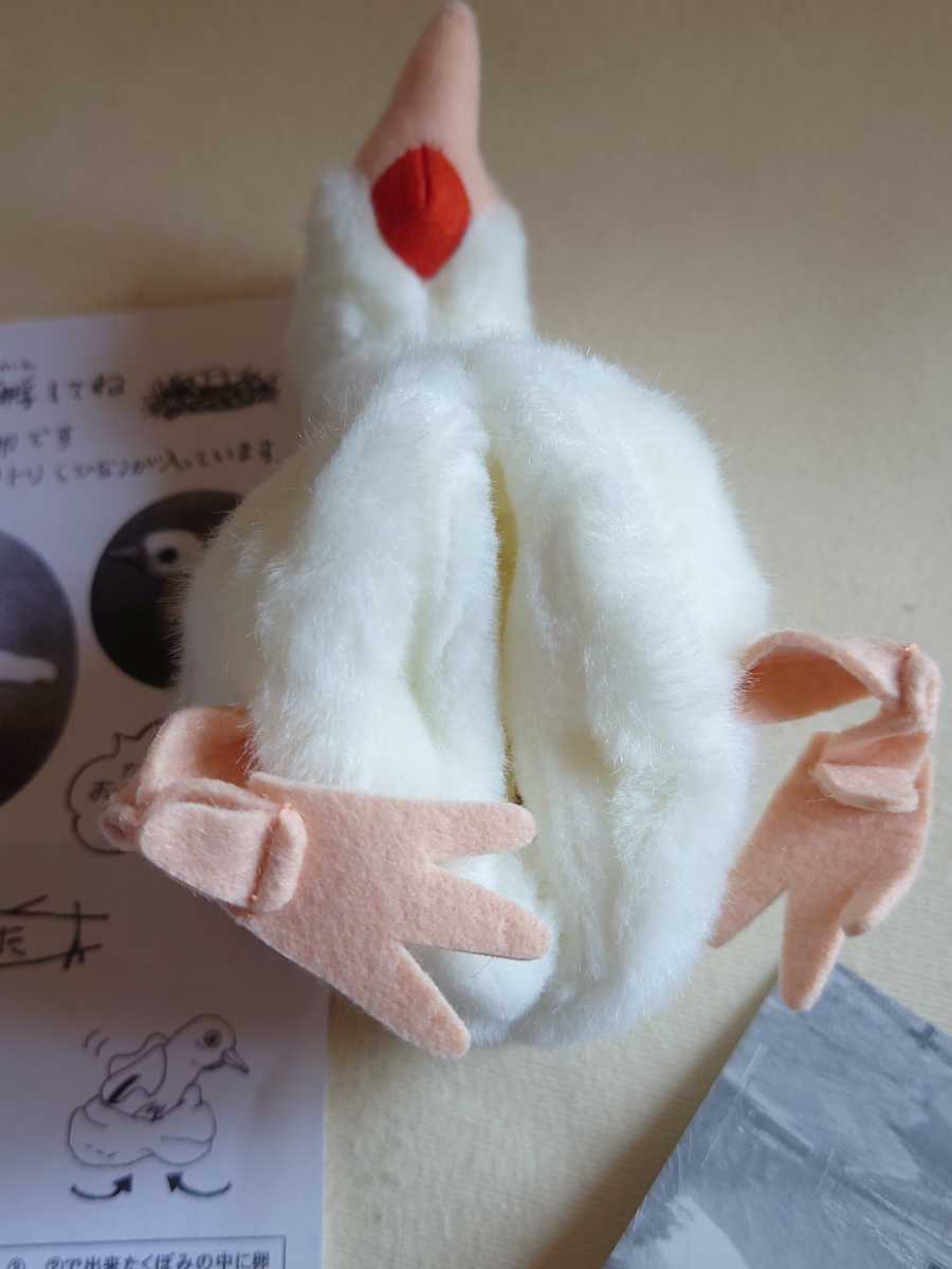 未使用 やまね工房 こうのとりの郷 コウノトリの卵 限定販売 ヒナ