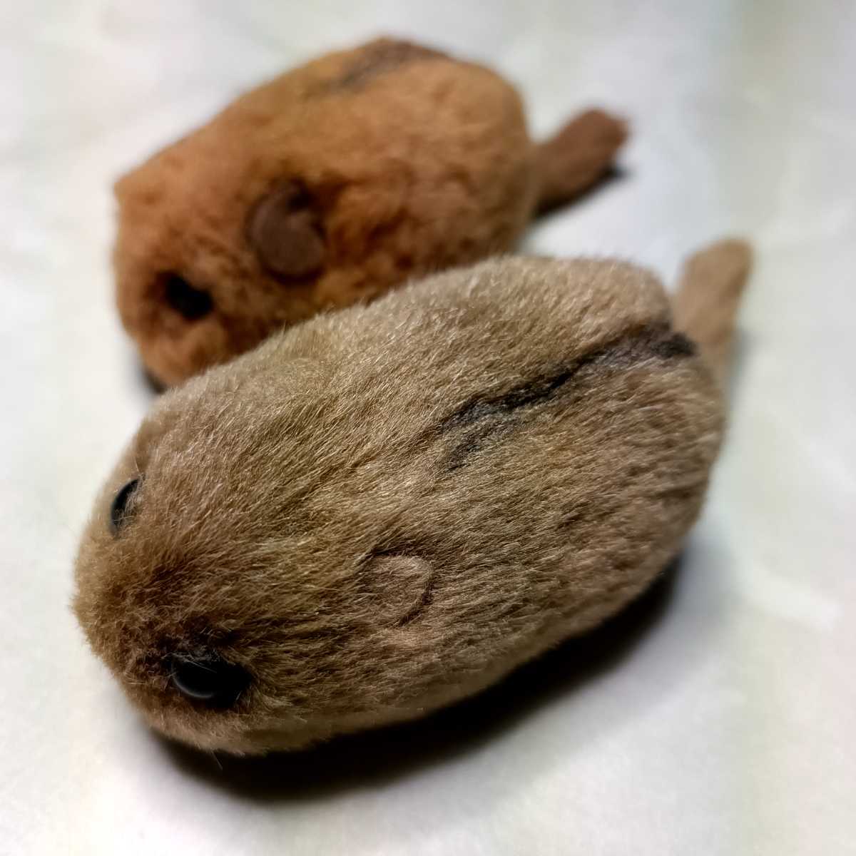 やまね工房 ヤマネ ねずみ ネズミ ぬいぐるみ 日本の野生動物 人形 リアル ハンドメイド 作家 ネズミ一般 売買されたオークション情報 Yahooの商品情報をアーカイブ公開 オークファン Aucfan Com