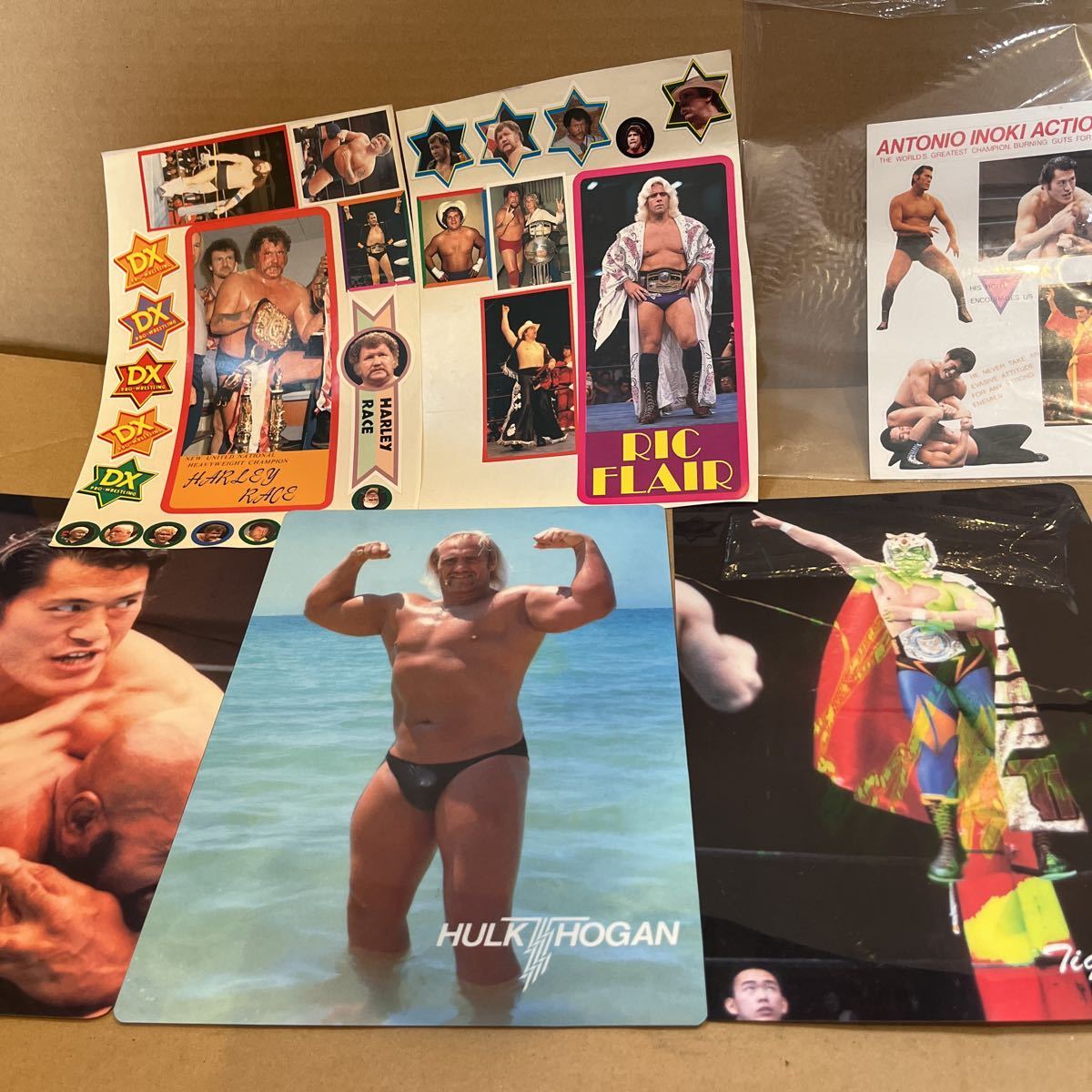 全日本 プロレス 昭和プロレス アントニオ猪木 長州力 タイガーマスク 