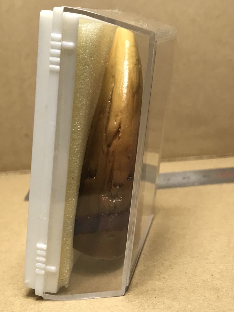 HMV GMKゴジラ 東京SOS DVD 予約特典 レプリカ HMV GMKゴジラ 東京SOS