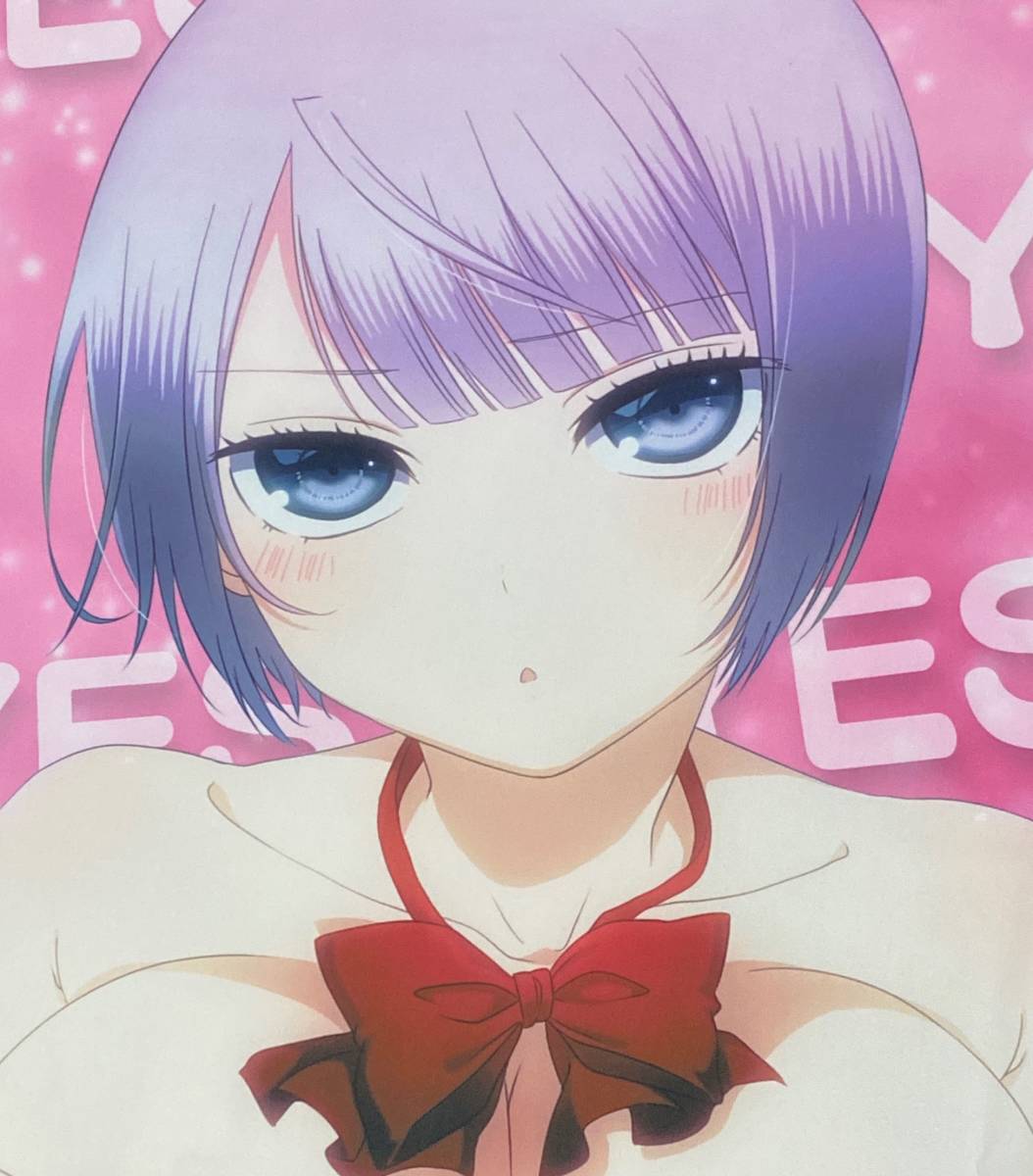 香坂秋穂抱き枕カバー 正規品 僕の彼女がマジメ過ぎるしょびっちな件 抱き枕 売買されたオークション情報 Yahooの商品情報をアーカイブ公開 オークファン Aucfan Com