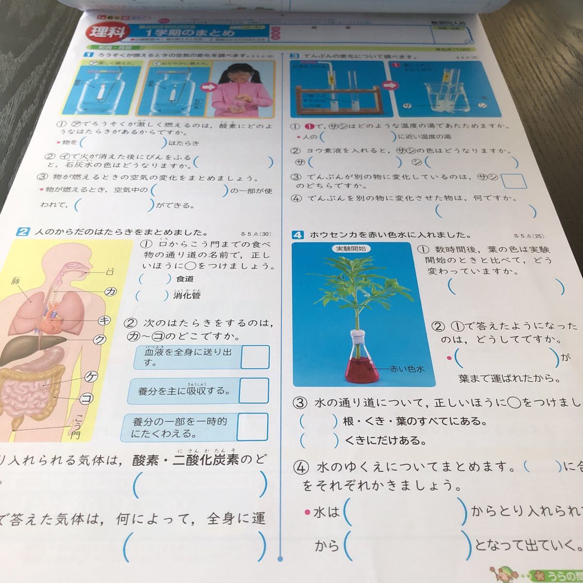 ナ7 プラスワンp理科 6年生 教育同人社 東京書籍 学習 問題集 ドリル 小学 テキスト テスト 文章問題 家庭学習 社会 英語 勉強 計算 漢字 小学校 売買されたオークション情報 Yahooの商品情報をアーカイブ公開 オークファン Aucfan Com ナ7 プラスワンp理科 6年生 教育同人社 東京書籍 学習 問題集 ドリル 小学 テキスト テスト 文章問題 家庭学習 社会 英語 勉強 計算 漢字 小学校 売買されたオークション情報 Yahooの商品情報をアーカイブ公開 オークファン Aucfan Com