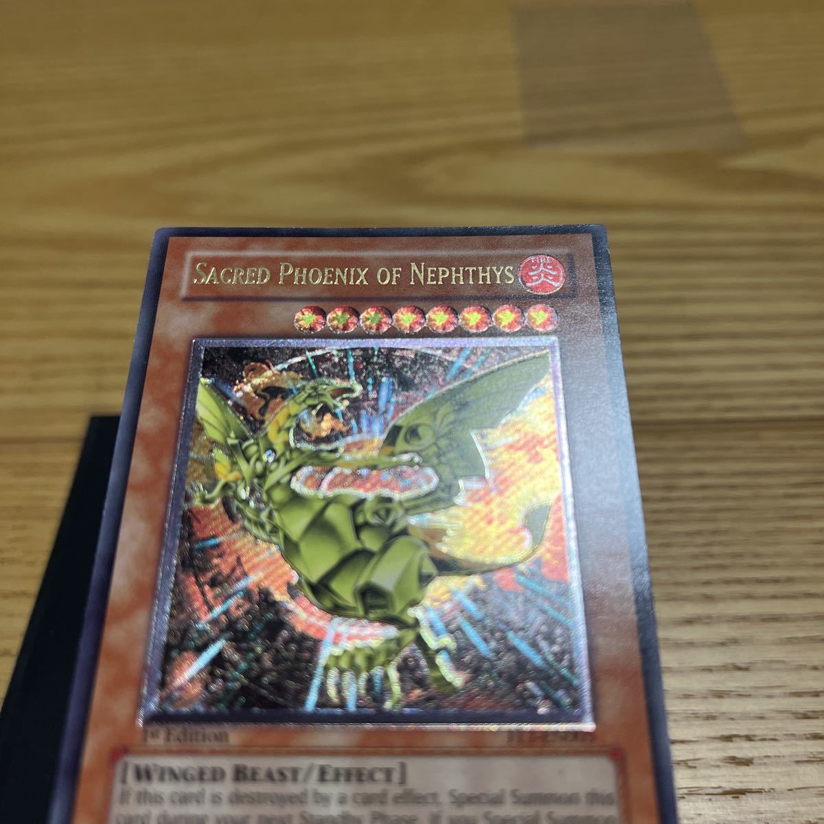 遊戯王 英語版 ネフティスの鳳凰神 レリーフ 1st Edition FET-EN005