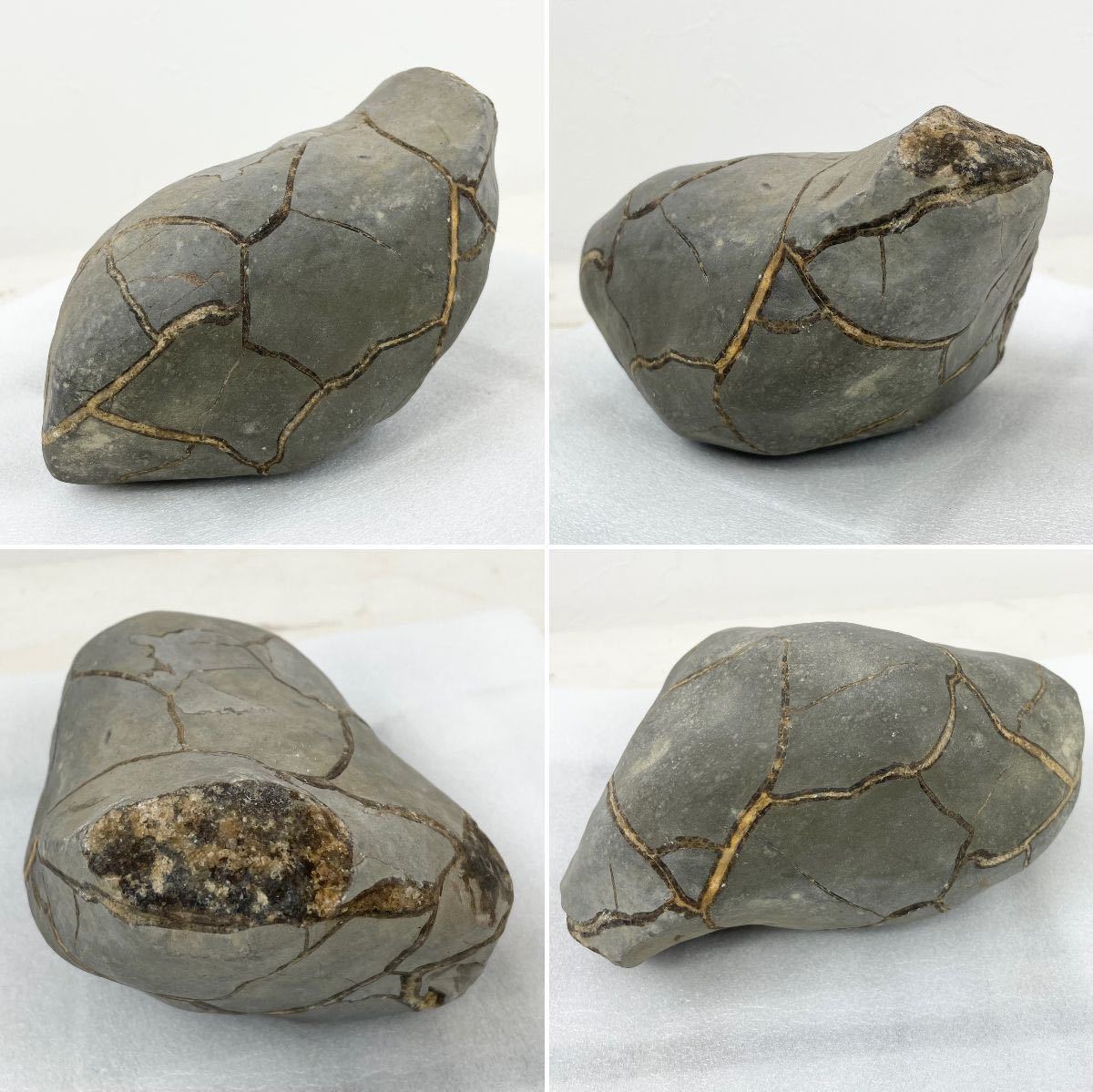 亀甲石 ノジュール石 鑑賞石 水石 【公式通販】