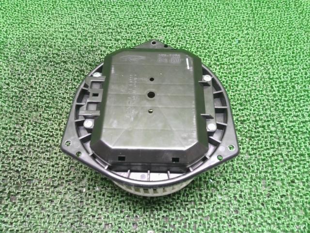 i-img1200x900-17322479727enank7