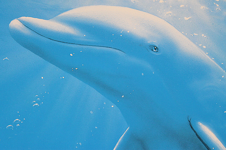 □ラッセン 【ロノ】 ミクスドメディア 直筆サイン エディション有り  