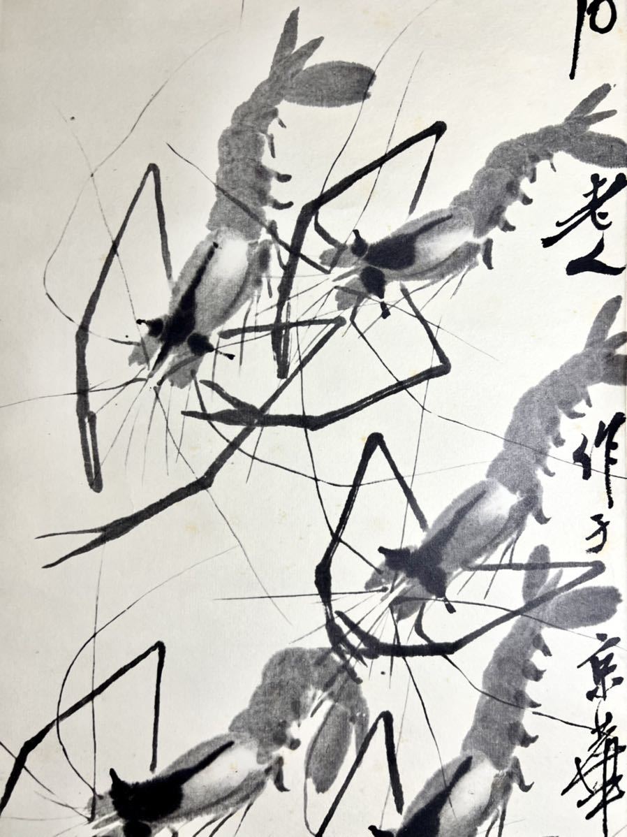 仏陀] 斉白石「蝦」紙本 工芸 水墨画 鳥獣 エビ 魚介図 絵画 掛軸 中国 