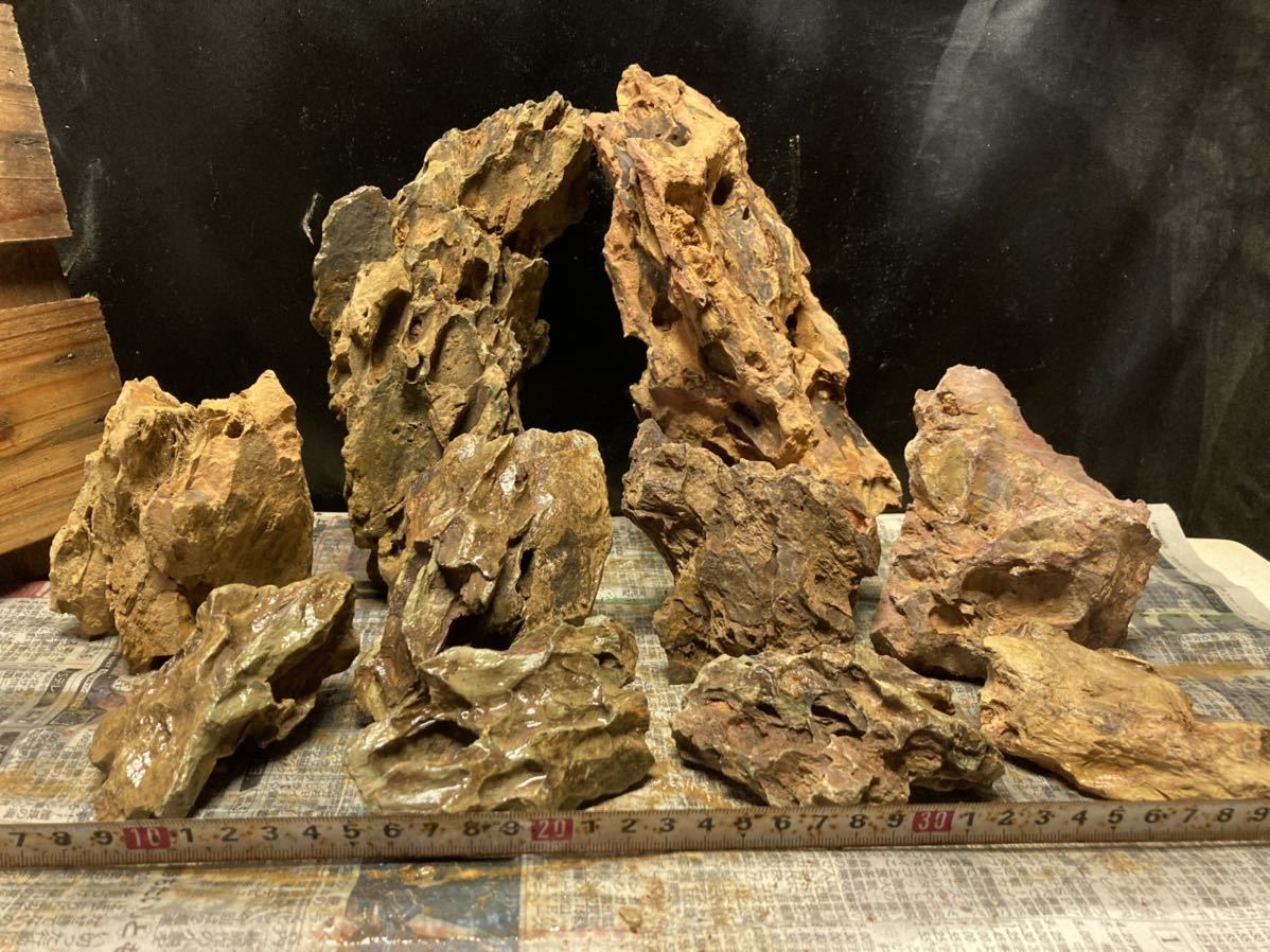 ADA 黄虎石 気孔石 松皮石 親石 良型 大きめセット 7【新品 親石付き 】ADA 黄虎石セット☆検 水槽 清流石 熱帯魚