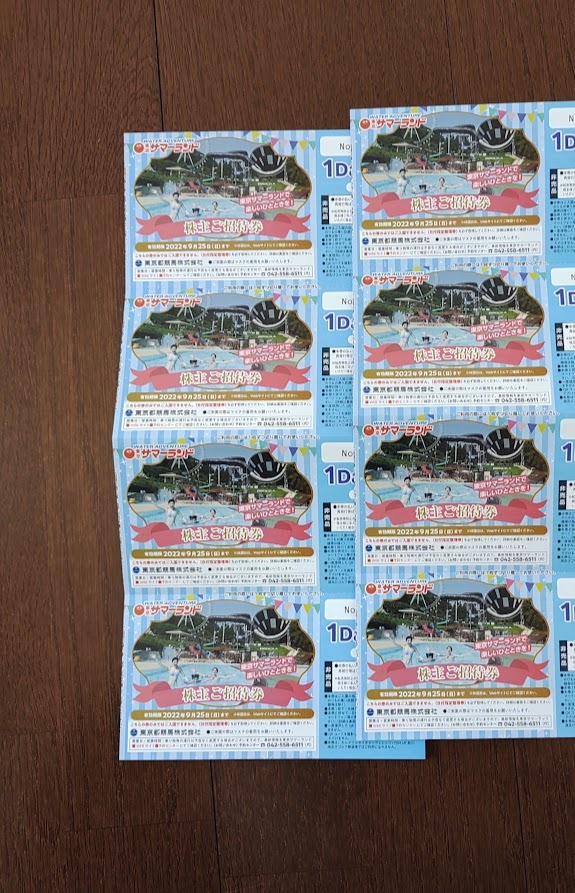 東京サマーランド I dayパス8枚セット 東京サマーランド 1Day 東京サマーランド I dayパス8枚セット 東京サマーランド 1Day