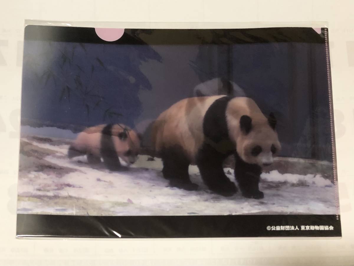 即決 送料無料 21年1月 シャンシャン パンダ記念日カレンダー入りクリアファイル リーリー 上野動物園 松坂屋上野店限定 香香 超新作 21年1月