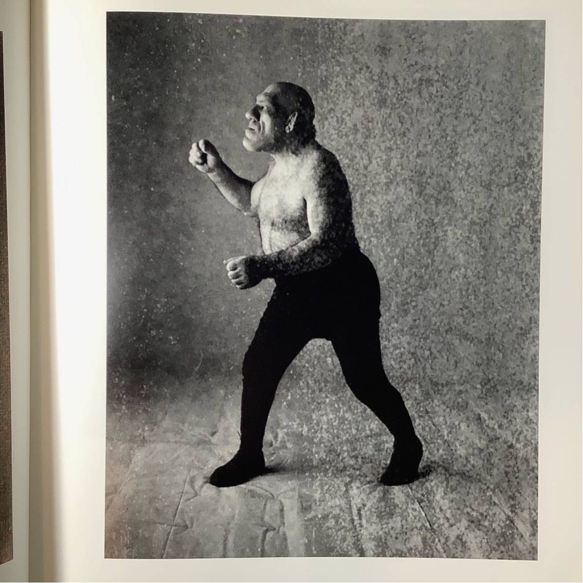 送料無料】『PASSAGE 』Irving Penn ○ 『パッセージ 』アーヴィング