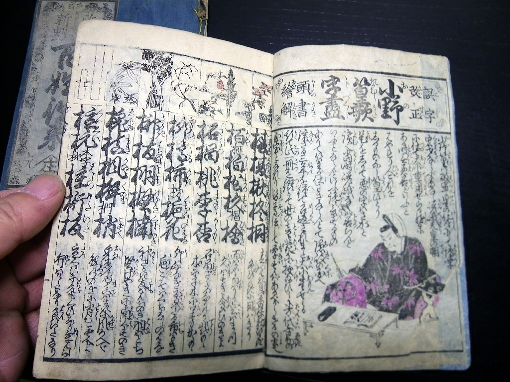 古書、古文書 ○極上和本YM5868○江戸明治和本等＞〈新版改