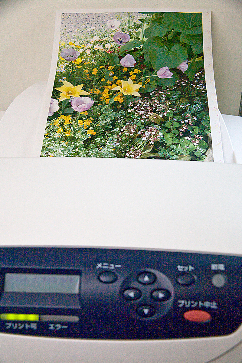 新品同様 FUJI XEROX/富士ゼロックス DocuPrint C1100 カラーレーザー