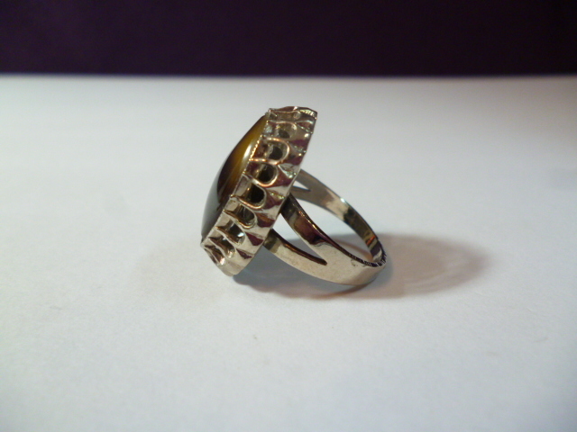 ф 本鼈甲 指輪 ф 鼈甲_3