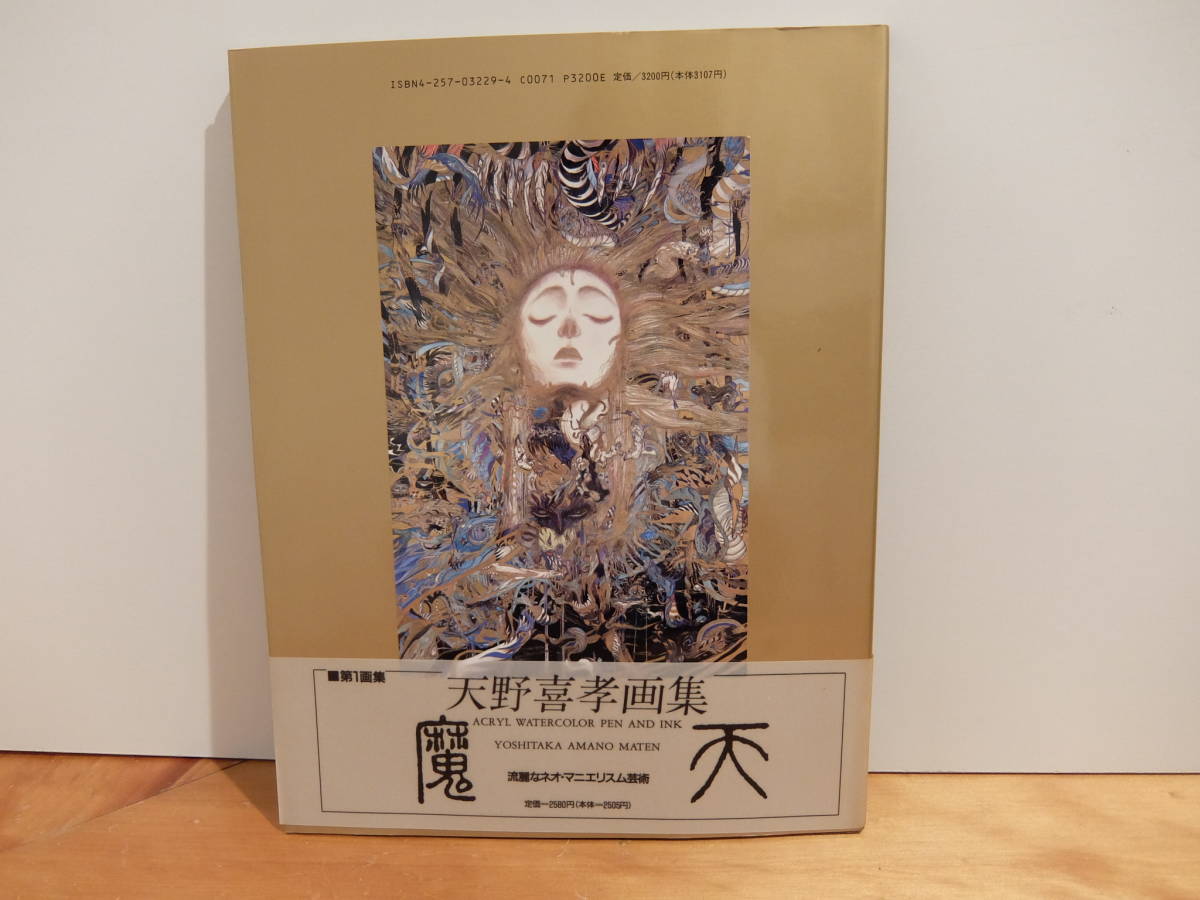 喜孝飛天 天野 喜孝 画集 天野喜孝画集 空 THE ART OF FINAL FANTAS 