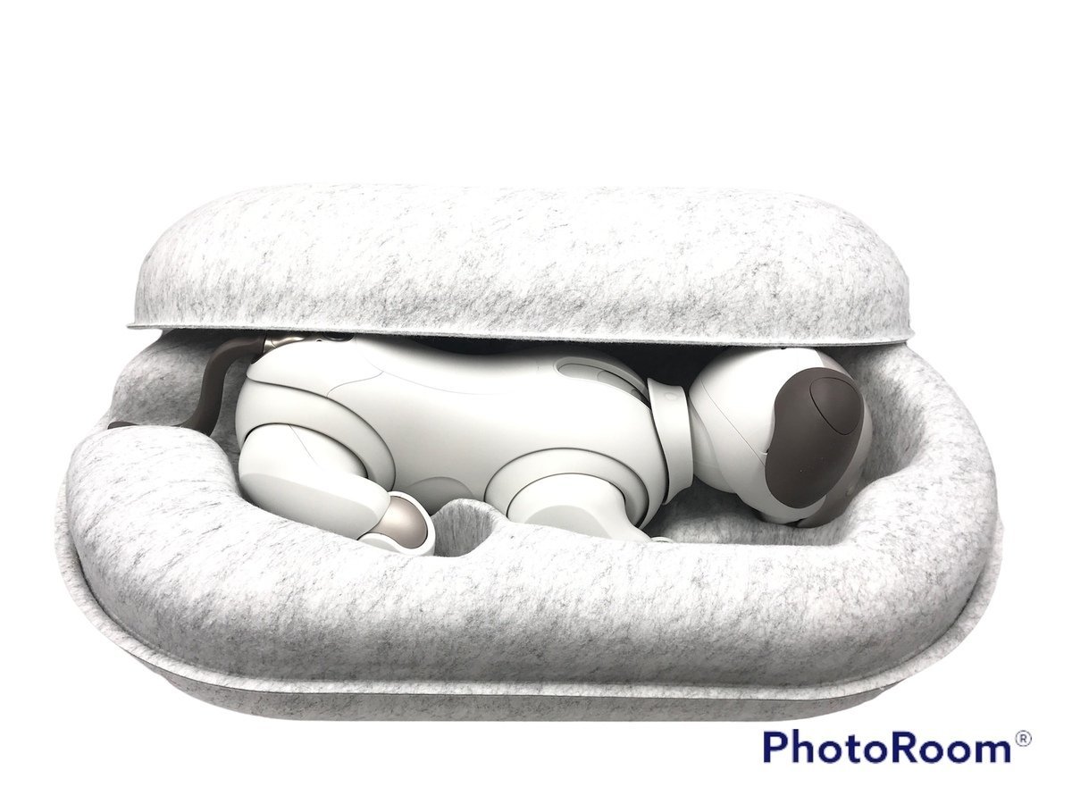 ジャンク品 SONY aibo ERS-1000 / アイボ ソニー バーチャルペット 