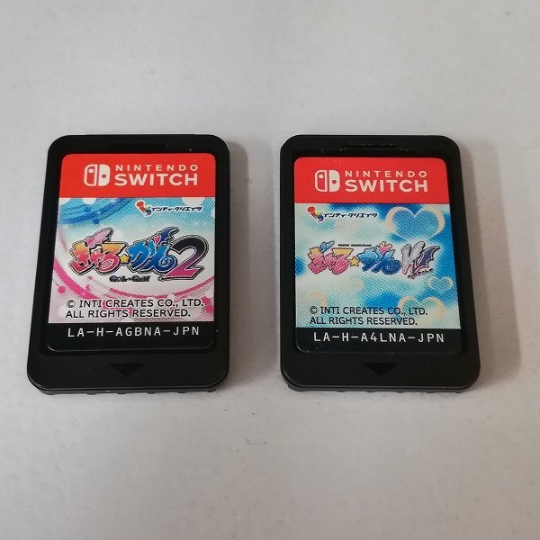 gY505a [動作品] スイッチ ソフト ぎゃるがん 2 ぎゃるがん だぶる