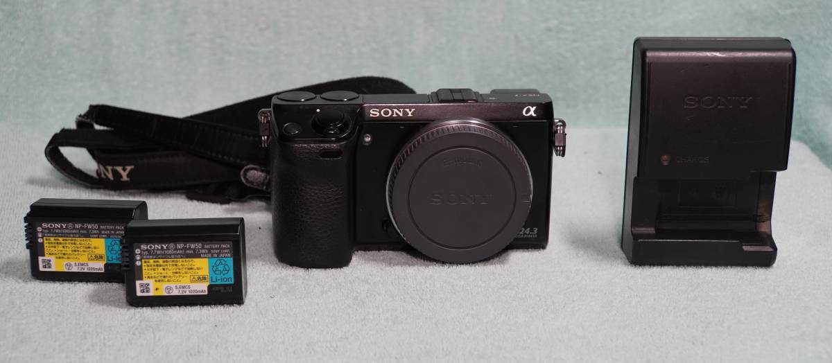 本体充電器バッテリー2個 防湿庫保管 極美品 バッテリーの通販 sony
