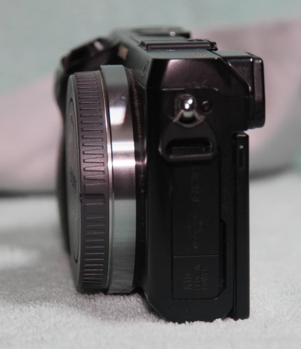 本体充電器バッテリー2個 防湿庫保管 極美品 バッテリーの通販 sony