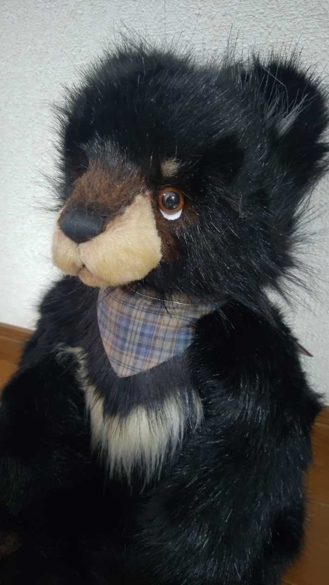 チャーリーベアーズ Mardi Gras | | テディベア通販お探しなら美術館