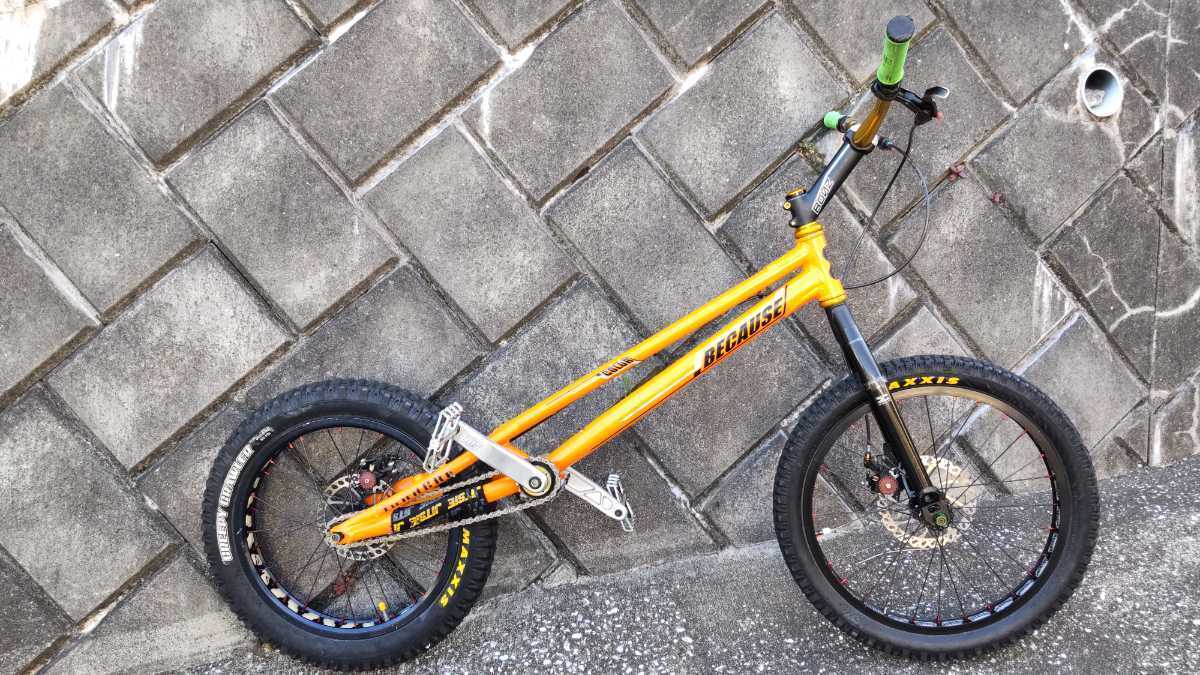トライアル 自転車 20インチ 前後ディスクブレーキ アルミフレーム(24 