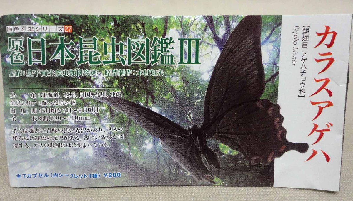 アオスジアゲハ アオスジアゲハ 原色日本昆虫図鑑 Ⅳ 「原色図鑑