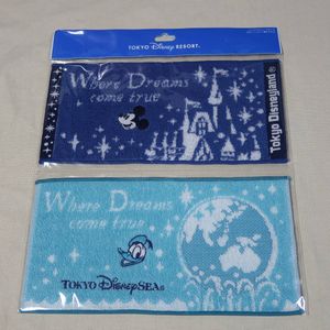 プロモーション ディズニーリゾート ミニタオル Sold キャラクターグッズ Silviakalvon Com Br