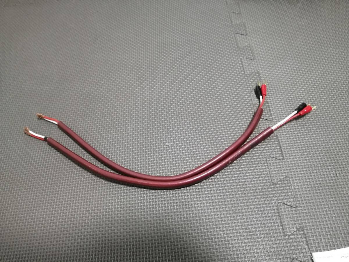 ACOUSTIC HARMONY アコースティックハーモニー CR5000 スピーカー
