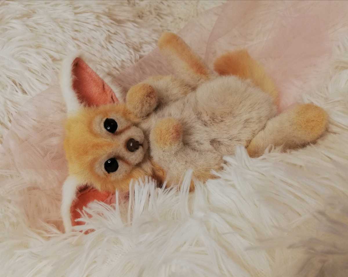 テディベア ぬいぐるみ 作家 ブライス 羊毛フェルト リアル フェネック 