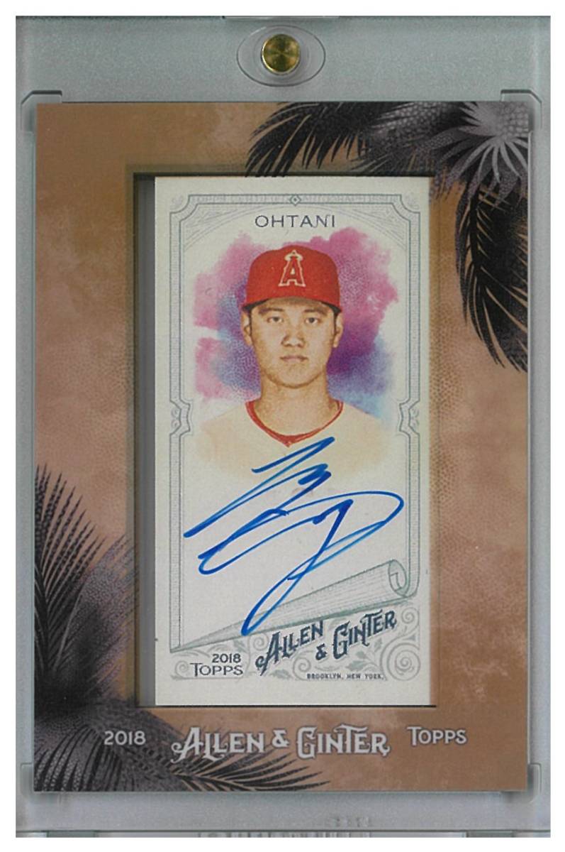 2019 Topps Update Hobby Box 2018 Topps Allen & Ginter HOBBY Pack – 8 Cards,  Chance For Shohei Ohtani, Autos, Cryptocurrency Cards 2024 Allen And Ginter  Hobby Box