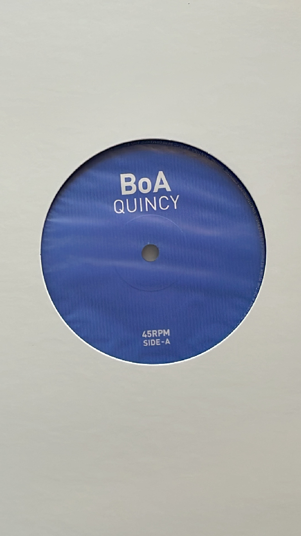  アナログ 12インチ レコード プロモ BoA ボア QUINCY / コノヨノシルシ(ジャパニーズポップス)｜売買されたオークション情報、yahooの商品情報をアーカイブ公開 - オークファン その他