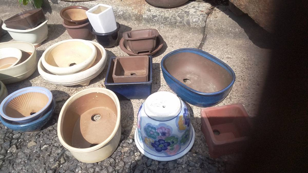 ミニ盆栽鉢 小品盆栽鉢 盆栽鉢 長辺 公式通販 ミニ盆栽 BONSAI 小鉢