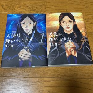 天使は舞いおりたの値段と価格推移は 3件の売買情報を集計した天使は舞いおりたの価格や価値の推移データを公開