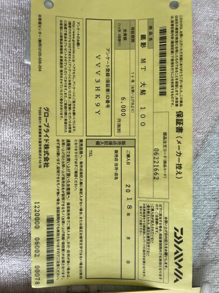 ダイワ　銀影MT大鮎100 終盤尺鮎に！_8