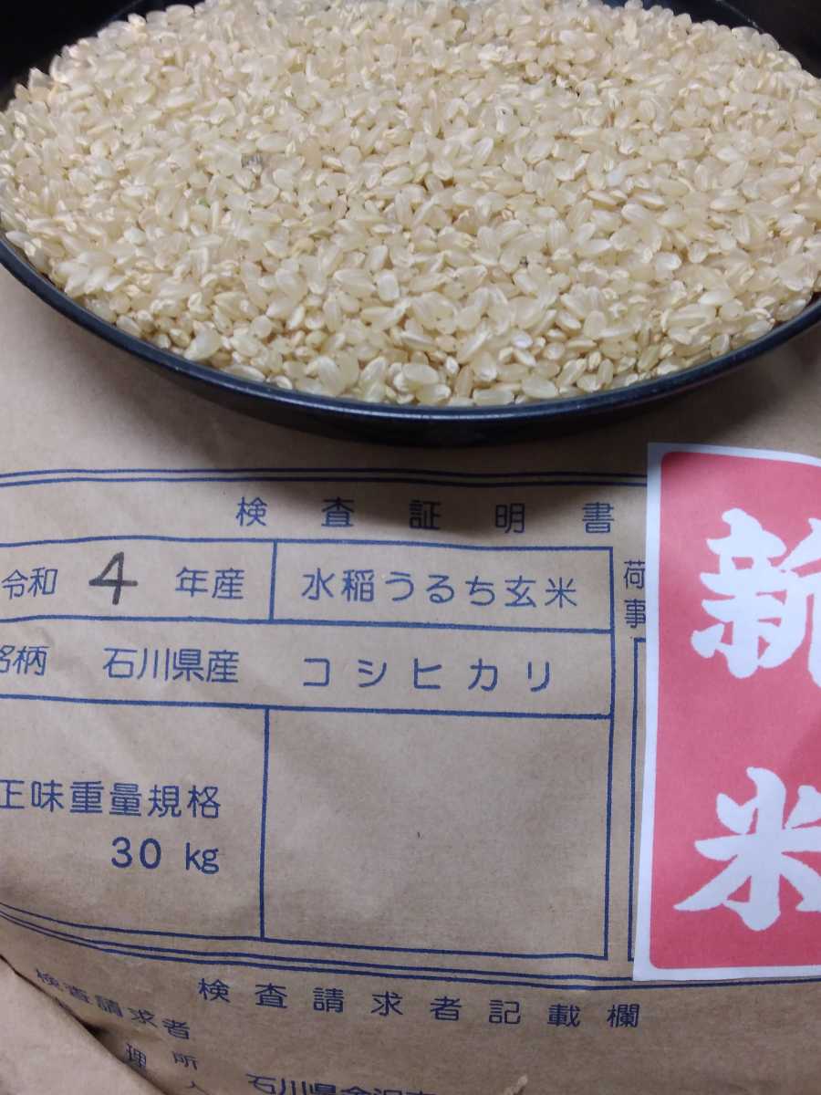 コシヒカリ | 新米 玄米30kg 玄米 JAえちご中越公式 米 新潟県長岡産