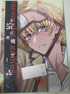 不完全燃焼の値段と価格推移は 32件の売買情報を集計した不完全燃焼の価格や価値の推移データを公開