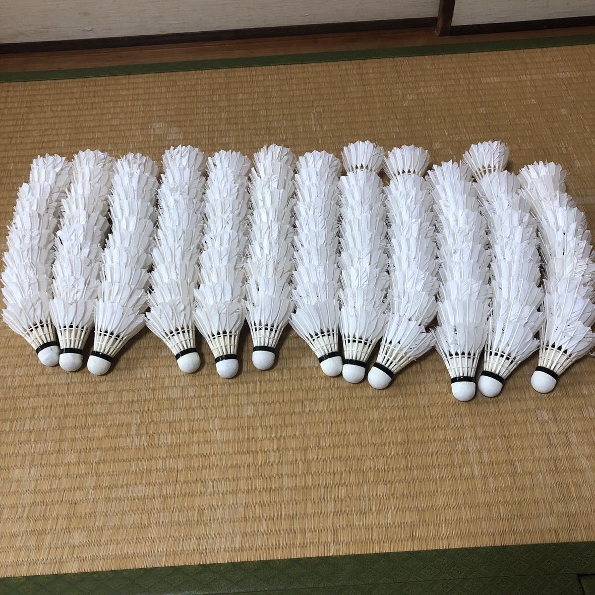 YONEX ヨネックス バドミントンラケット ナノレイグランツ 4U G5