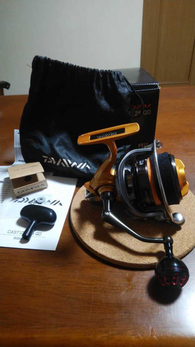 DAIWA(ダイワ) 14 キャスティズム 25QD 06PE 遠投用リール