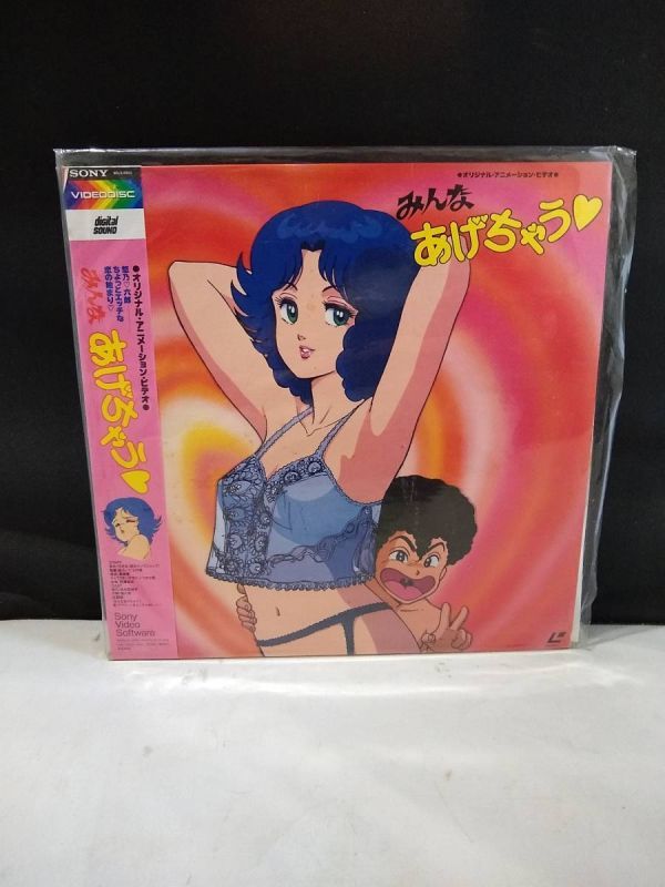 R5507　LD・レーザーディスク　みんなあげちゃう　弓月光