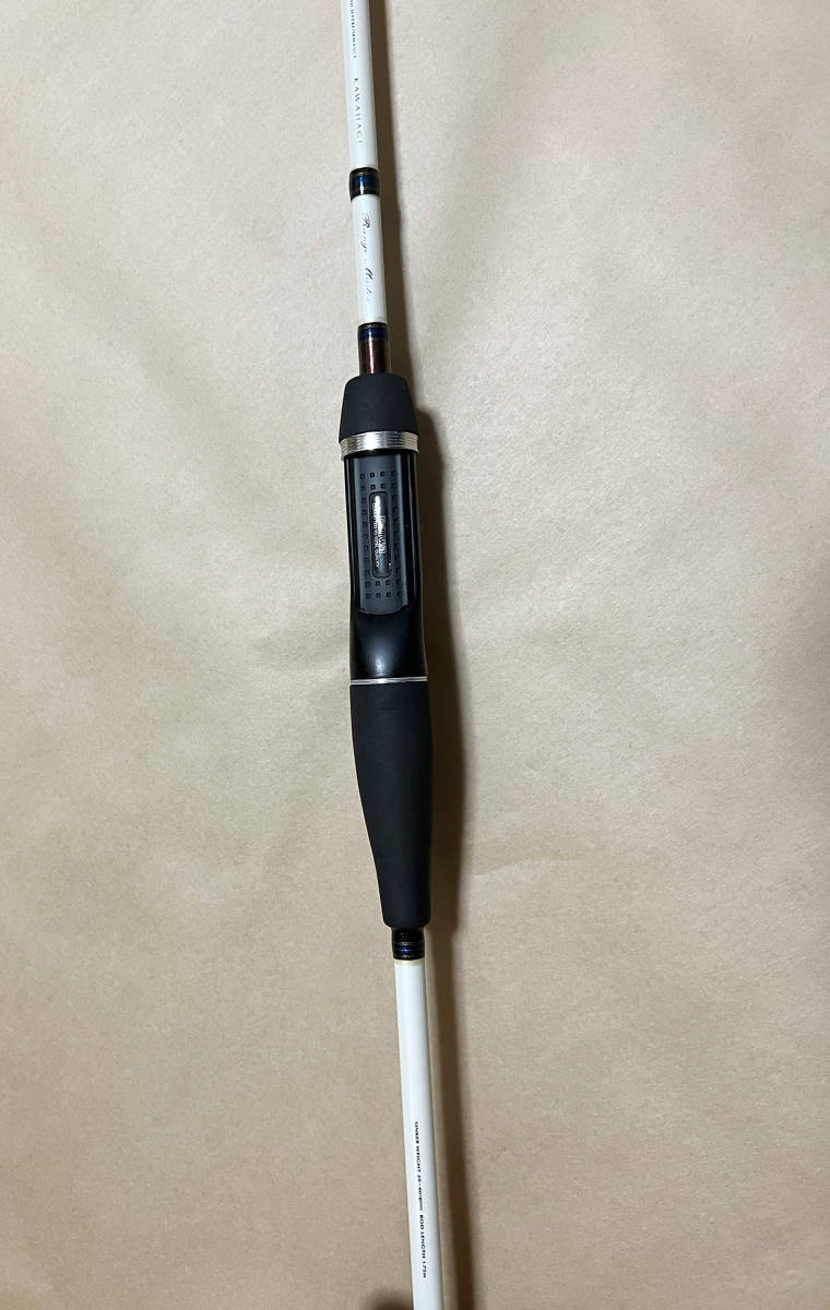 ダイワ 極鋭カワハギ レンジマスター スポーツ、レジャー フィッシング