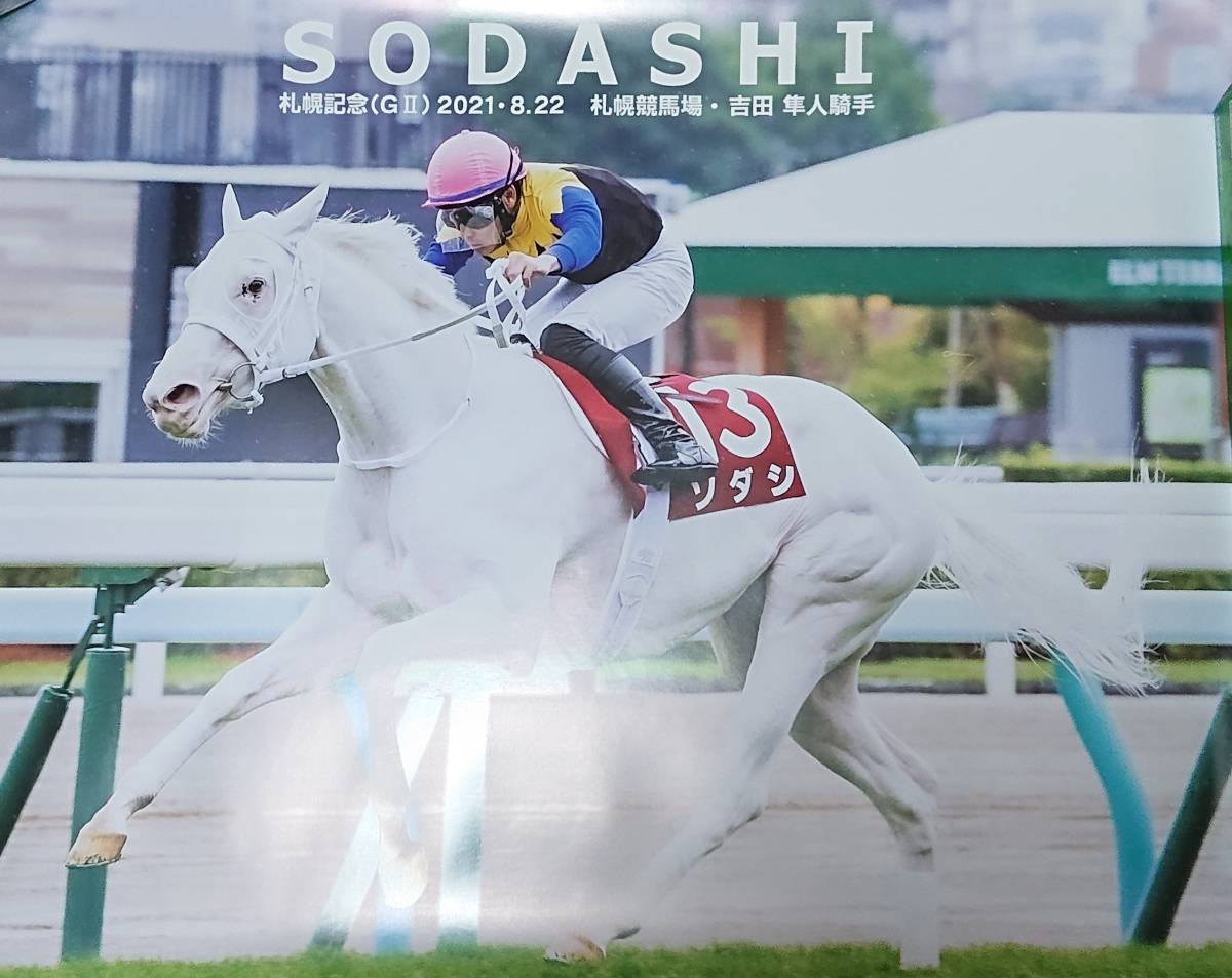 競馬ブックネットSHOP A2サイズ写真 ⁄ 令 2次受付］2026 ソダシ厩務員 