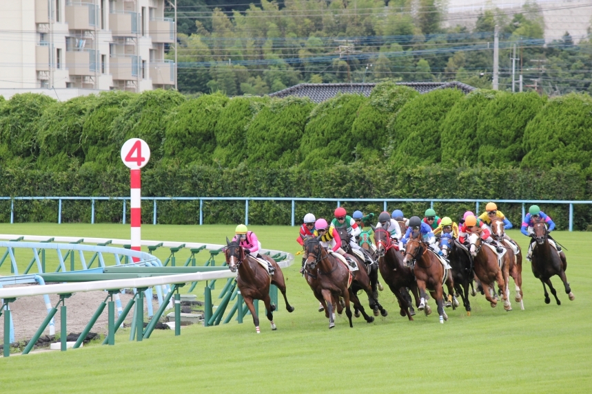 三連複６点で回収率２００％確実　競馬手法！JRA限定【まとめ買い可能】