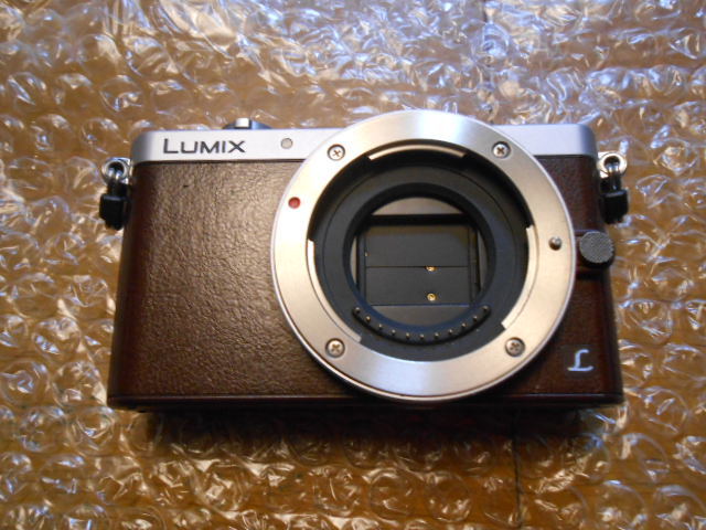 オンラインストア買蔵 Panasonic ルミックス GM1 LUMIX DMC-GM1 ボディ