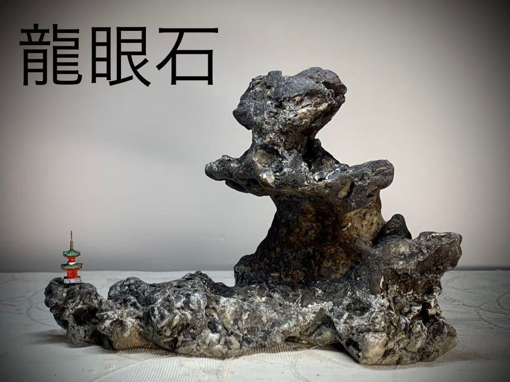 信濃美術石博物館水石 盆栽 ウブ 龍眼石 横21×高14.5×奥行9.5(cm 61-9q