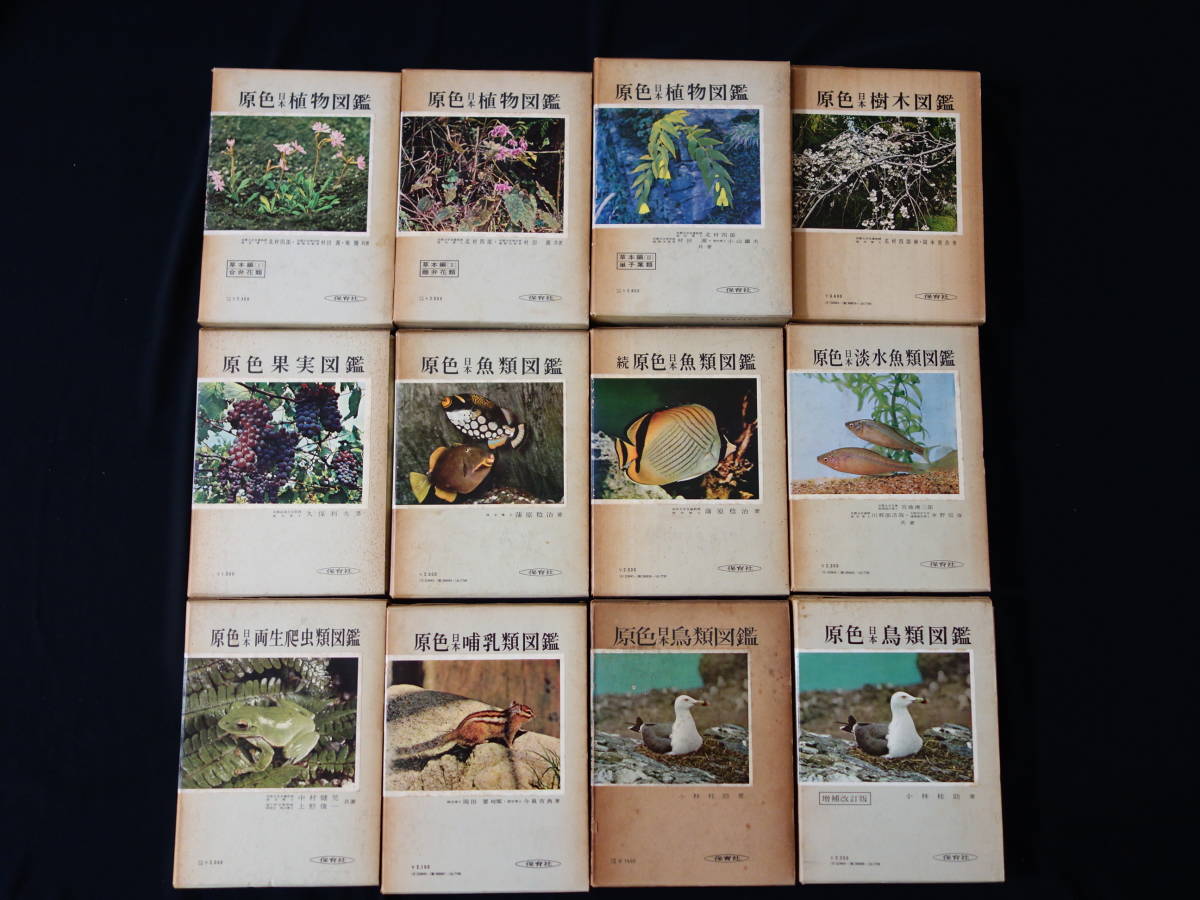 原色日本図鑑シリーズ13冊 保育社 標準原色図鑑全集8 樹木 原色佐藤