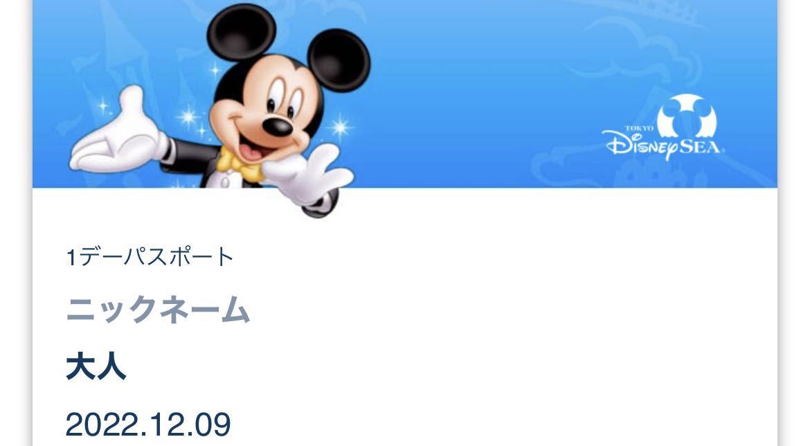 12/9(金)ディズニーシー 　大人1枚から　チケット　ディズニーチケット　9:00入園 12月9日 