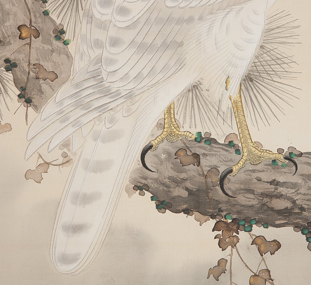 五】渡辺晨畝 『松鷹瀑布図』 絹本 淡彩 真作 掛軸 箱付(花鳥、鳥獣