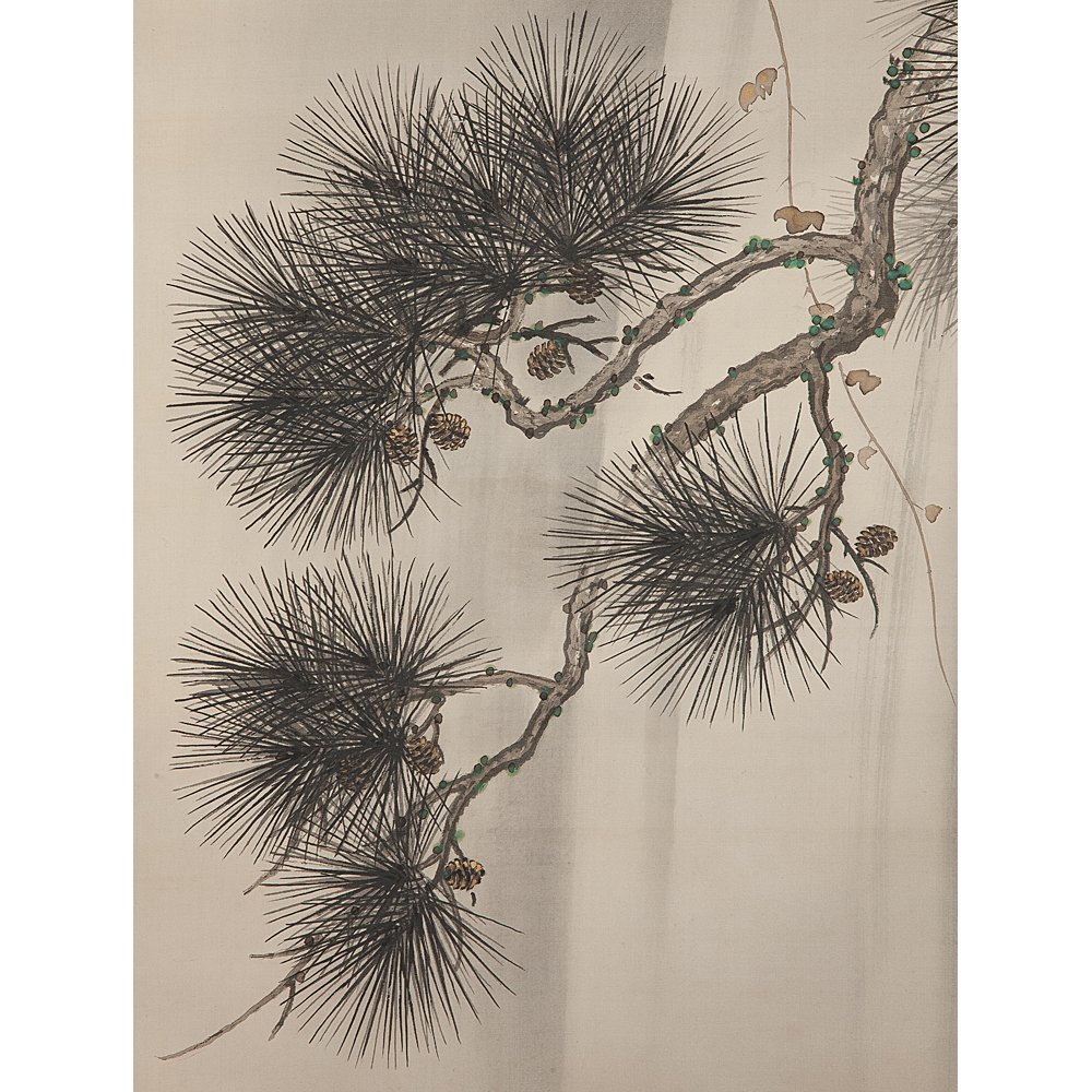 五】渡辺晨畝 『松鷹瀑布図』 絹本 淡彩 真作 掛軸 箱付(花鳥、鳥獣