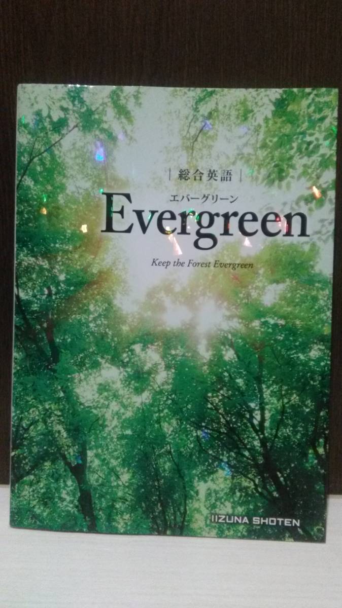 総合英語Evergreen English Grammar 47 Lessons Workbook updated いい